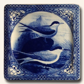 Terns Plate