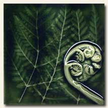 Porteous Art Tiles - Native Plants Tiles