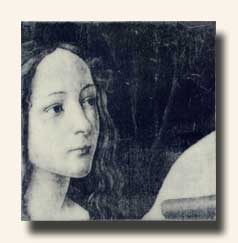 Botticelli's Venus