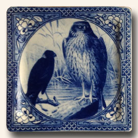  Harrier Hawk Plate