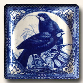  Huia Plate