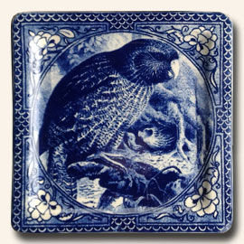 Kakapo Plate