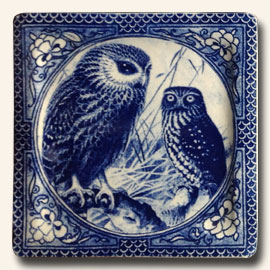 Morepork Plate