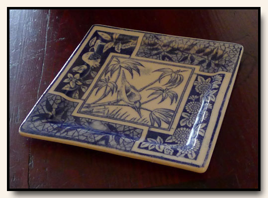 Plate oblique View